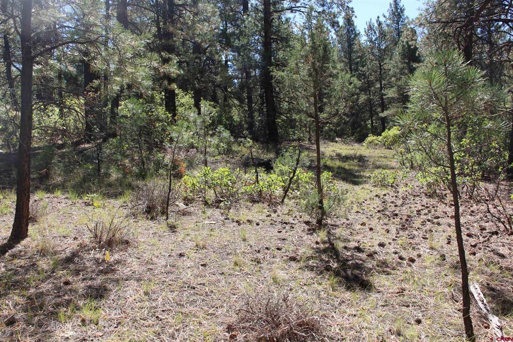 290 Wits End Place Pagosa Springs CO 81147