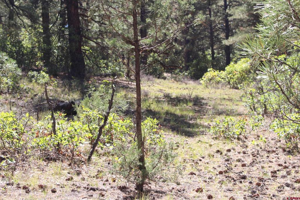 290 Wits End Place Pagosa Springs CO 81147