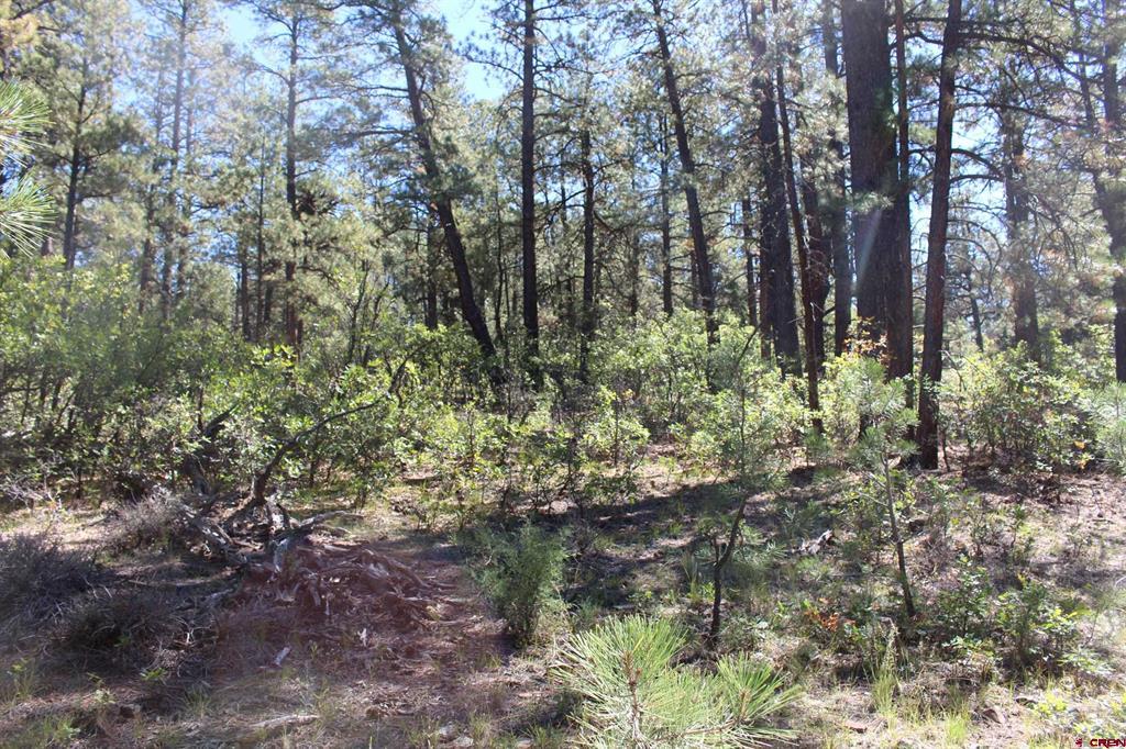 290 Wits End Place Pagosa Springs CO 81147