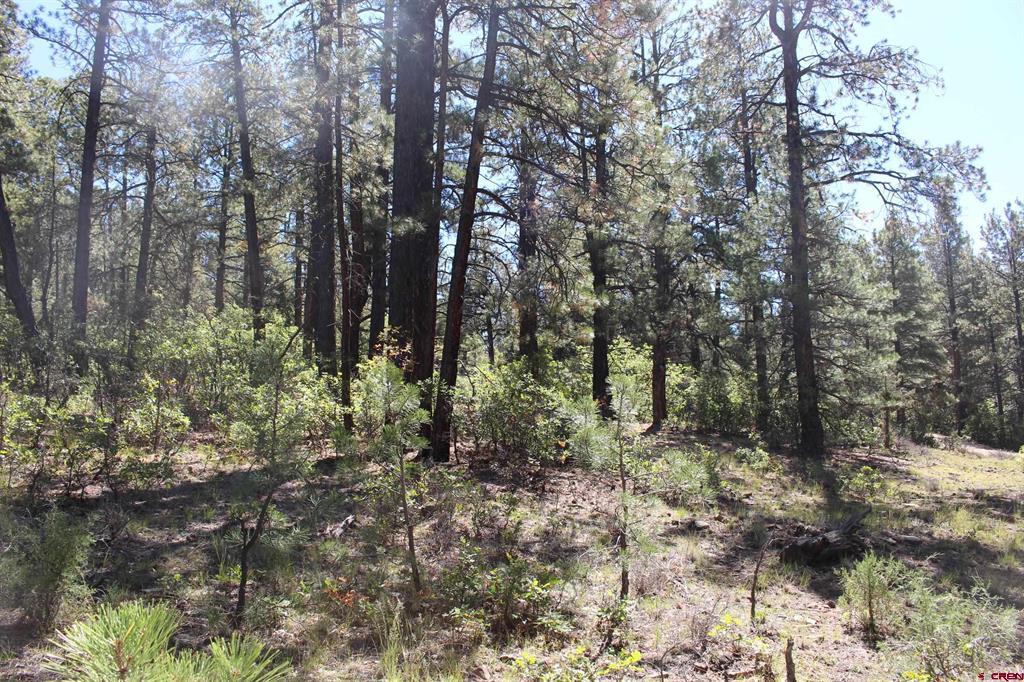 290 Wits End Place Pagosa Springs CO 81147