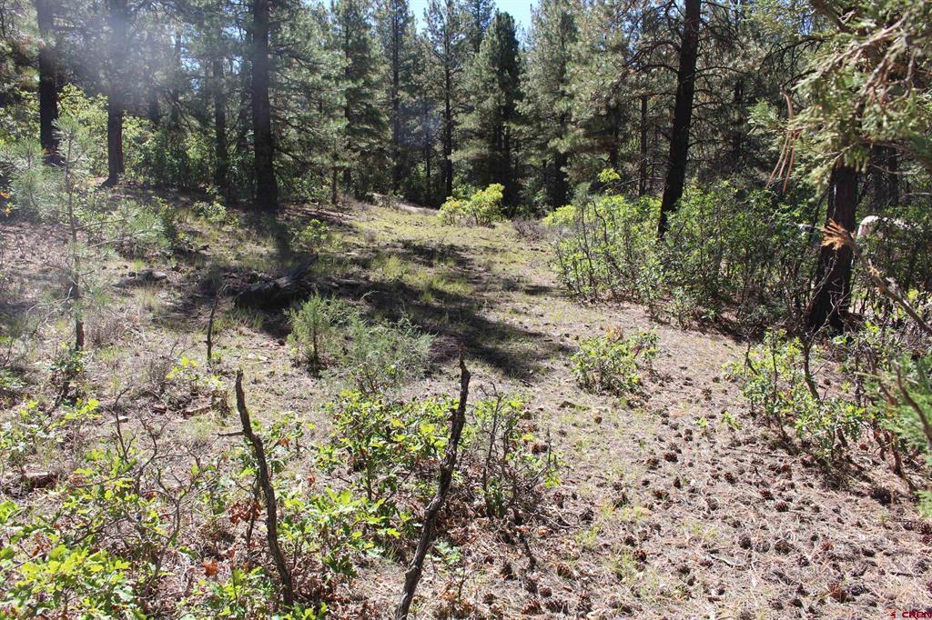 290 Wits End Place Pagosa Springs CO 81147