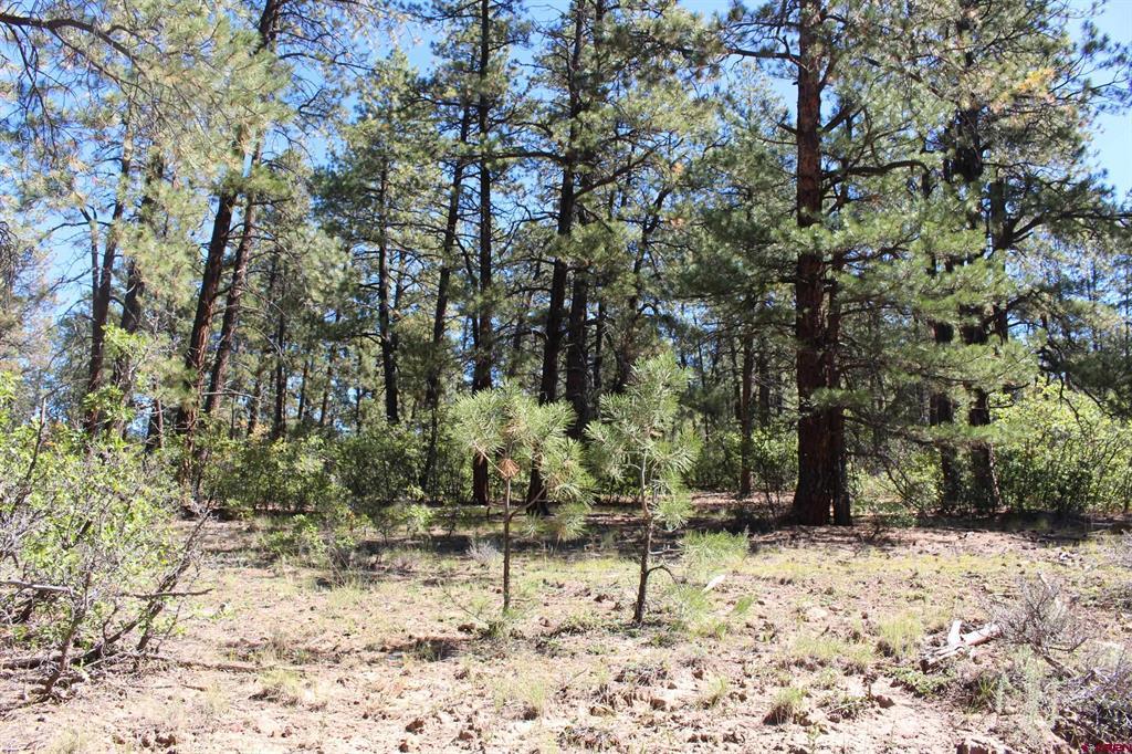 290 Wits End Place Pagosa Springs CO 81147