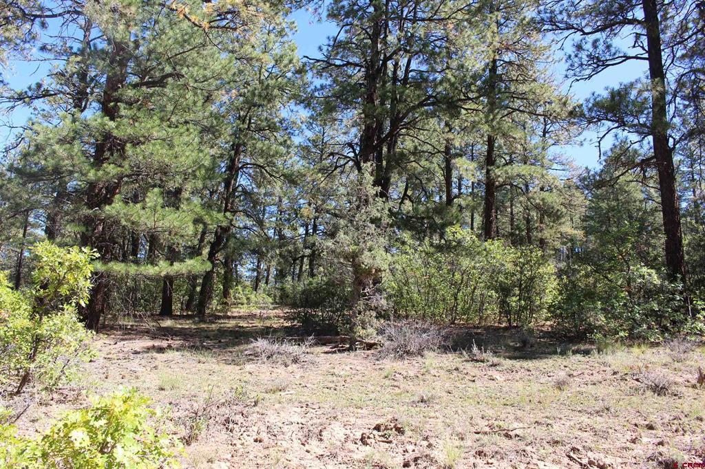 290 Wits End Place Pagosa Springs CO 81147