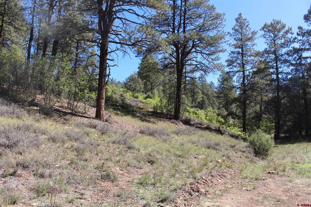 290 Wits End Place Pagosa Springs CO 81147