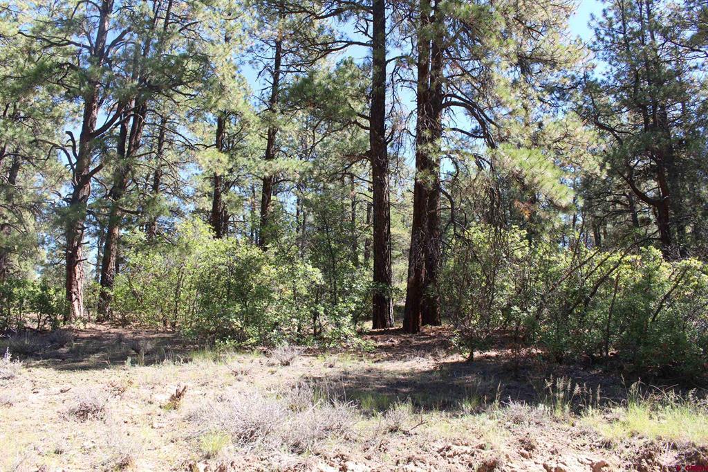 290 Wits End Place Pagosa Springs CO 81147