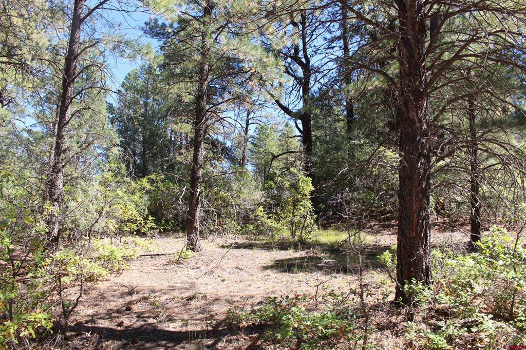 290 Wits End Place Pagosa Springs CO 81147