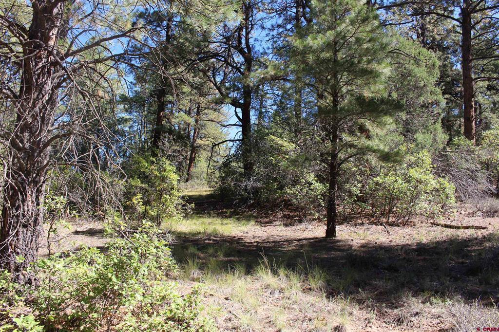 290 Wits End Place Pagosa Springs CO 81147