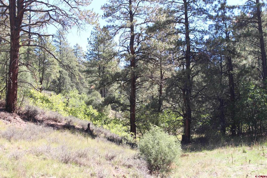 290 Wits End Place Pagosa Springs CO 81147