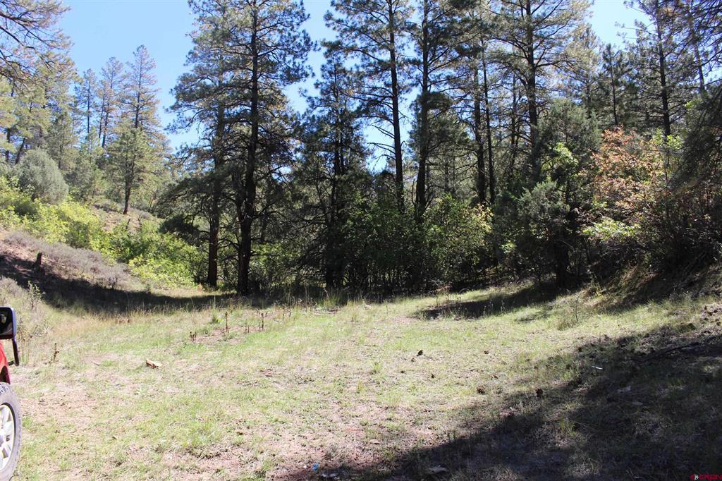 290 Wits End Place Pagosa Springs CO 81147