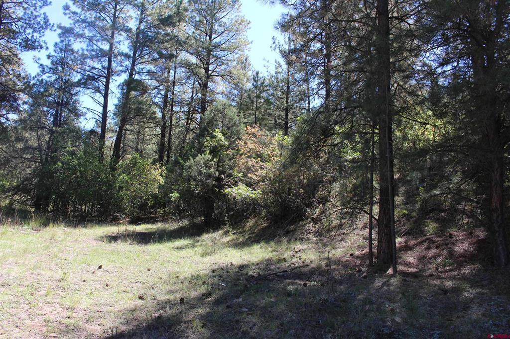 290 Wits End Place Pagosa Springs CO 81147