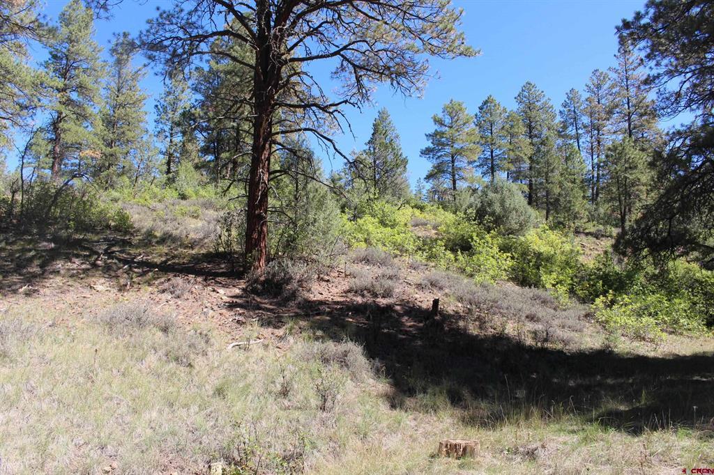 290 Wits End Place Pagosa Springs CO 81147