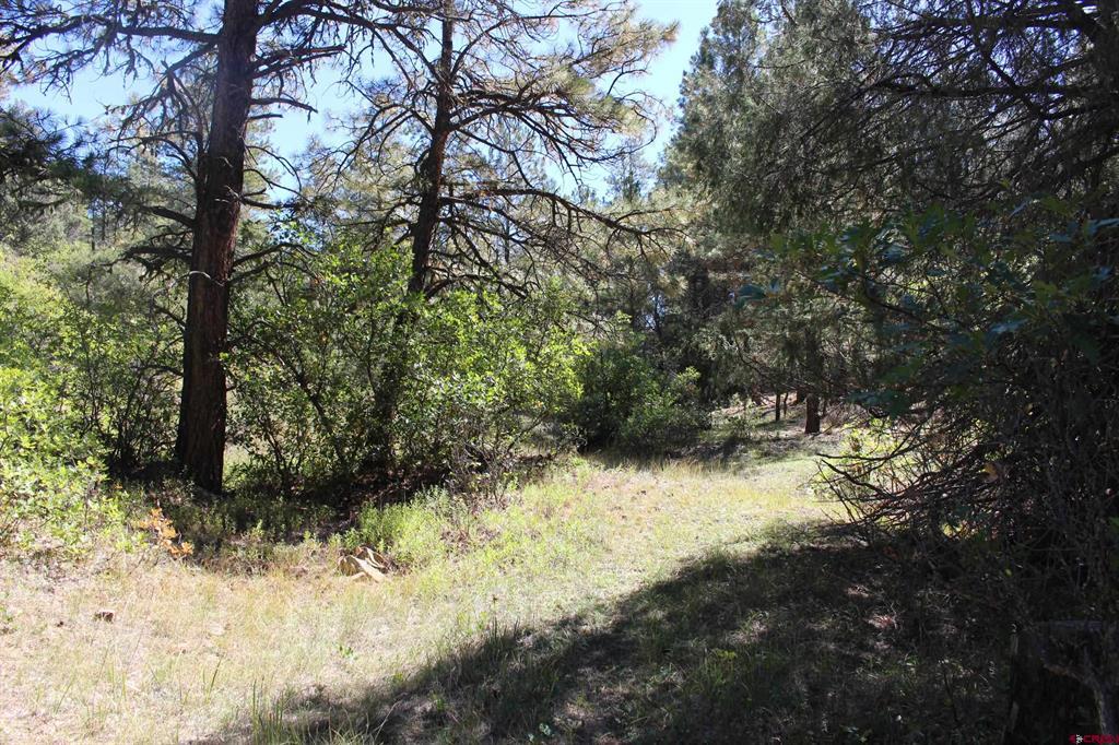 290 Wits End Place Pagosa Springs CO 81147