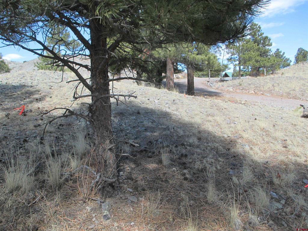 410 Gold Avenue Lake City CO 81235