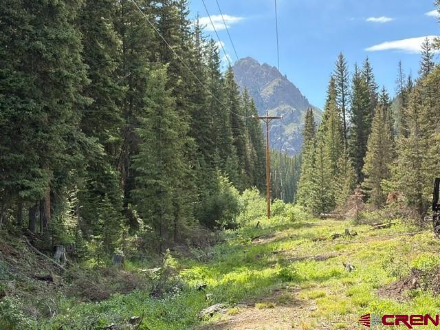 10.33 Ac Imogene Road Ouray CO 81427