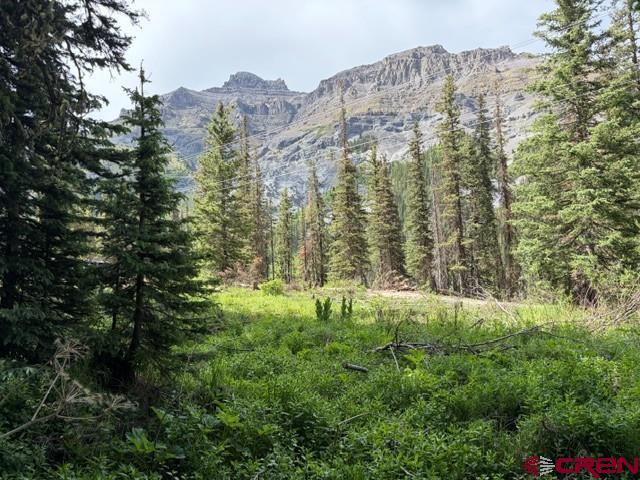 10.33 Ac Imogene Road Ouray CO 81427
