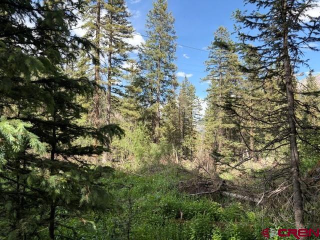 10.33 Ac Imogene Road Ouray CO 81427