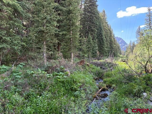 10.33 Ac Imogene Road Ouray CO 81427