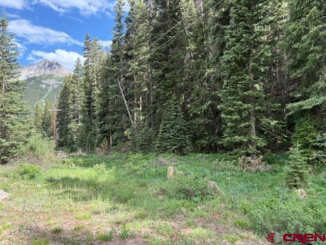 10.33 Ac Imogene Road Ouray CO 81427