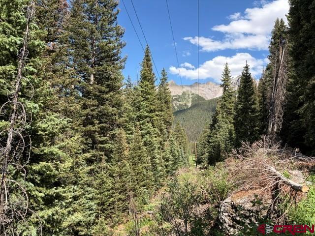 10.33 Ac Imogene Road Ouray CO 81427