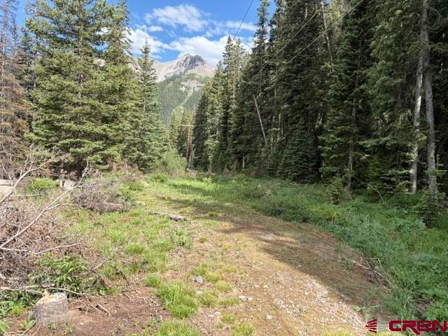 10.33 Ac Imogene Road Ouray CO 81427