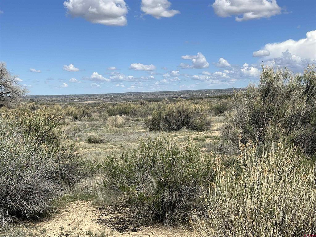 8385 Road 29.4 Loop Cortez CO 81321
