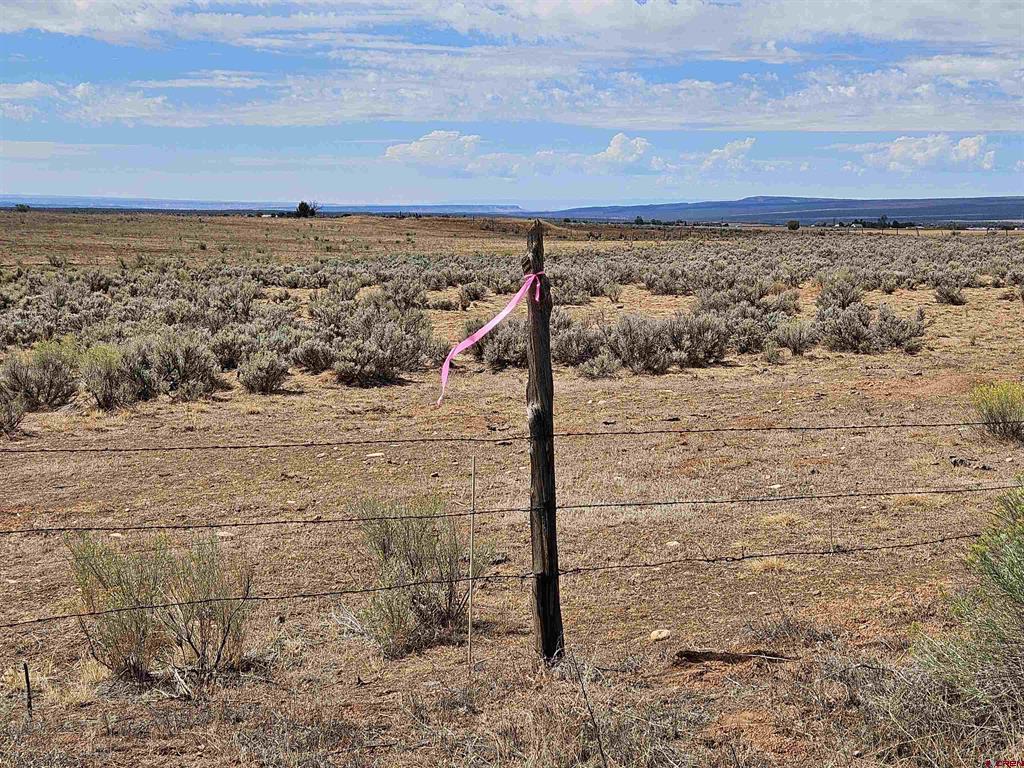 Tbd County Road 130 Hesperus CO 81326