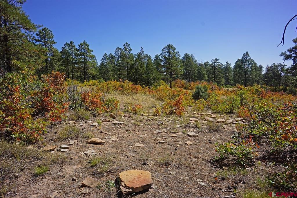 Tbd Road 36.5 Mancos CO 81328