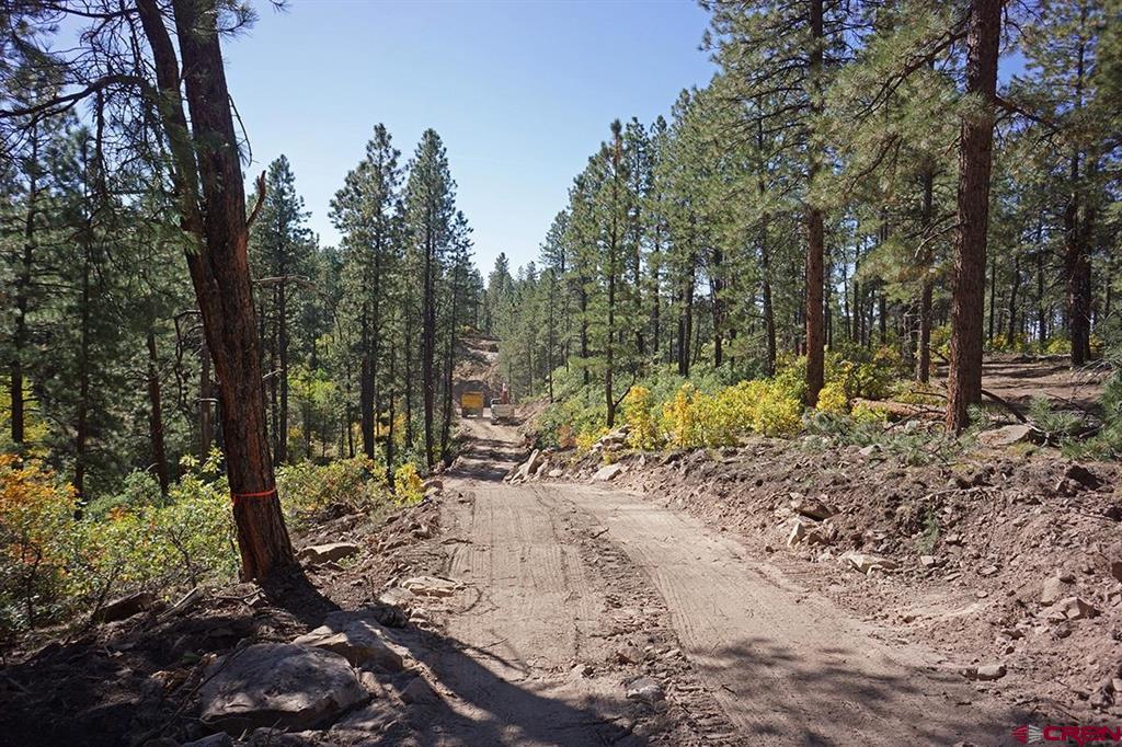 Tbd Road 36.5 Mancos CO 81328