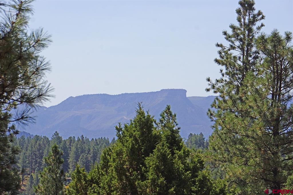 Tbd Road 36.5 Mancos CO 81328