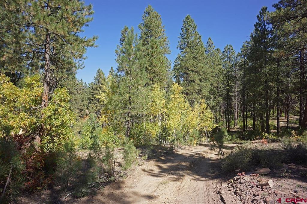 Tbd Road 36.5 Mancos CO 81328