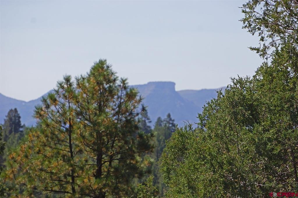 Tbd Road 36.5 Mancos CO 81328