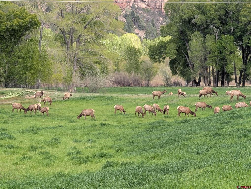 26068 Highway 550 Durango CO 81301