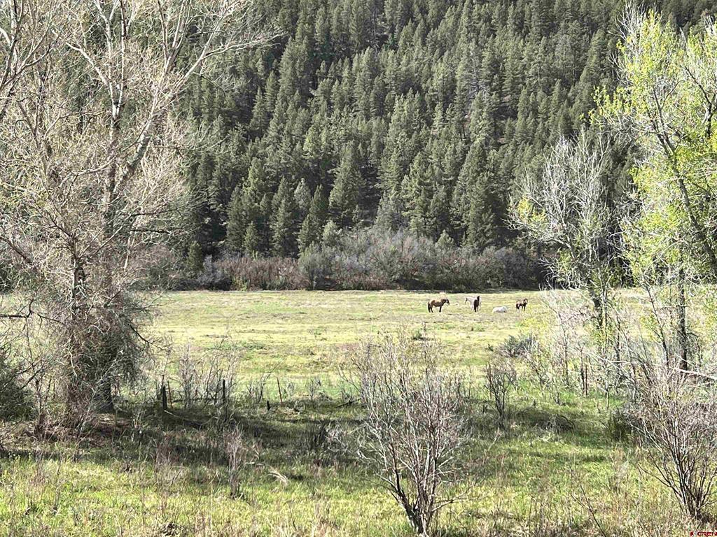 000 County Road 551 Pagosa Springs CO 81147