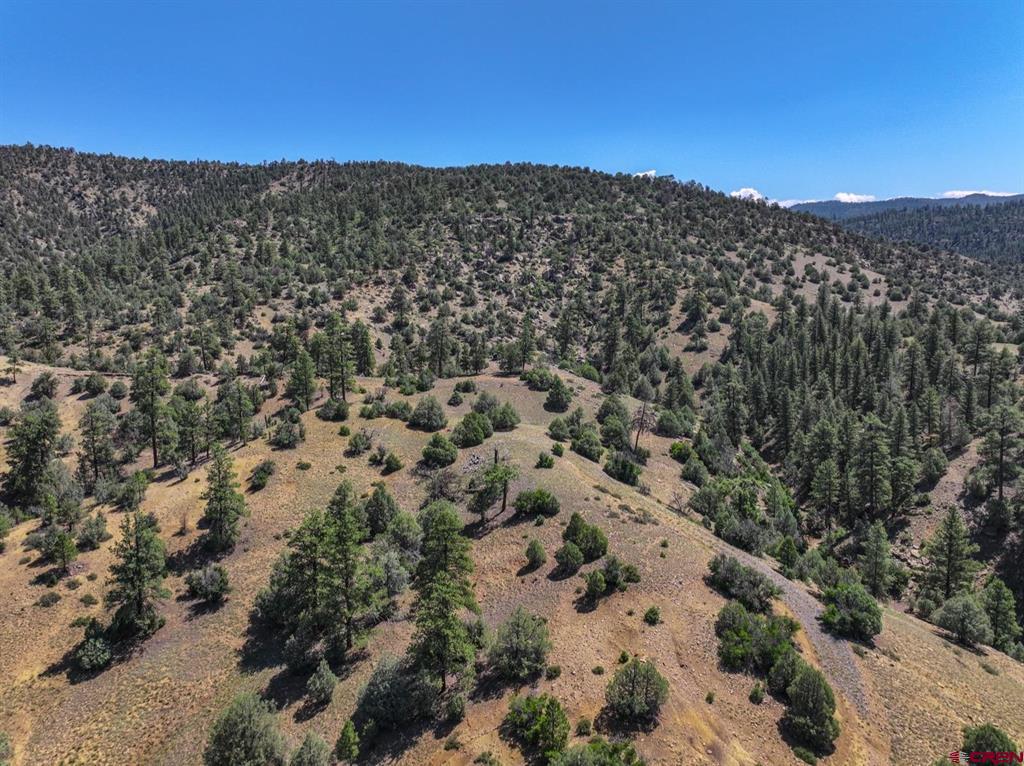 000 County Road 551 Pagosa Springs CO 81147