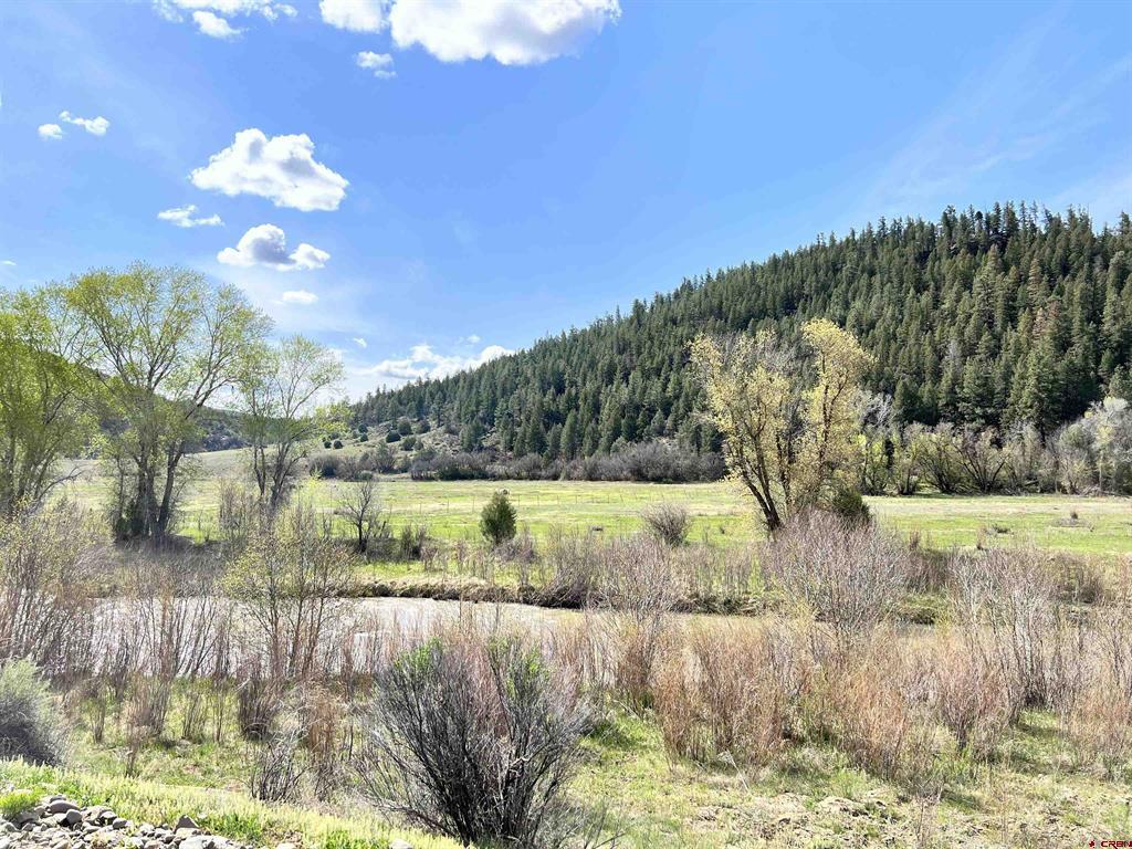 000 County Road 551 Pagosa Springs CO 81147