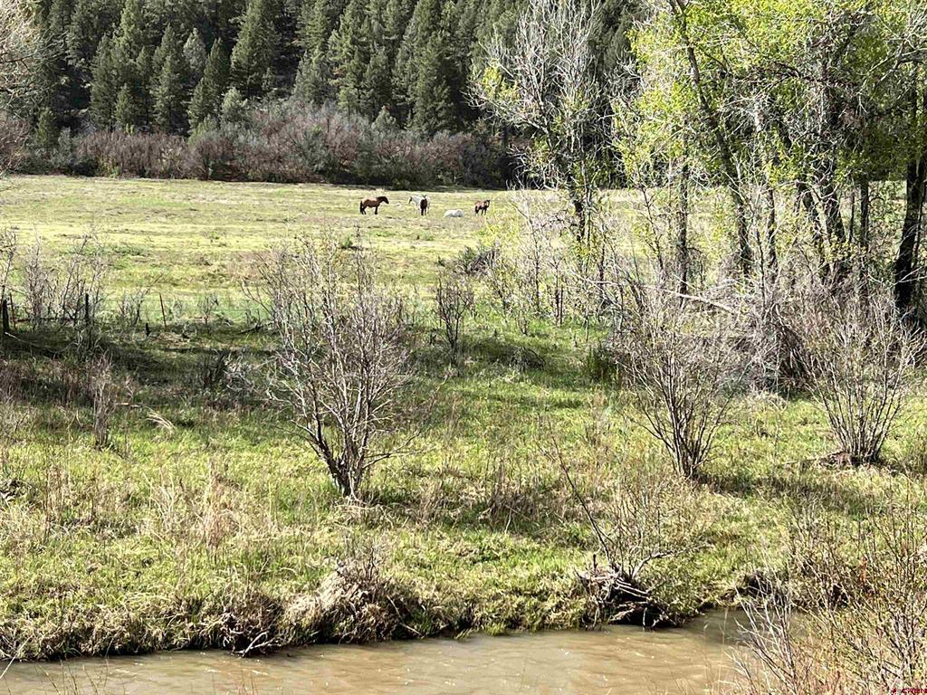 000 County Road 551 Pagosa Springs CO 81147
