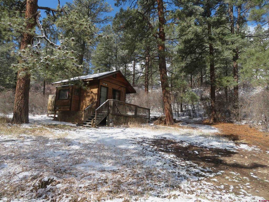 Pagosa Springs CO, 203 Evergreen
