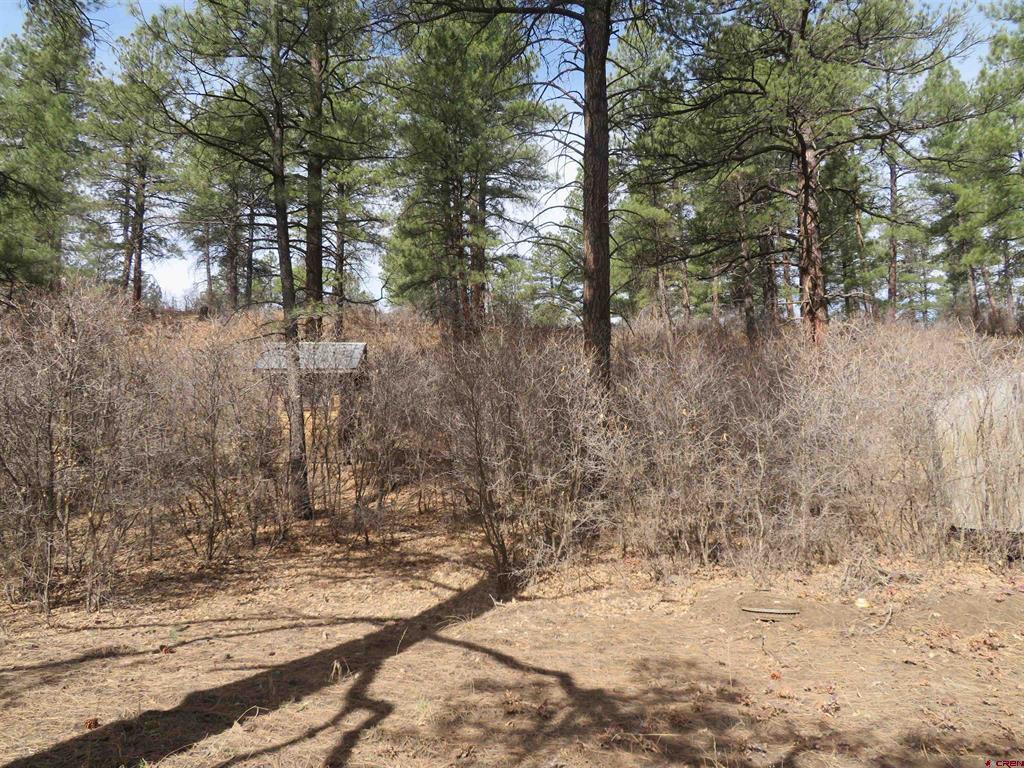 203 Evergreen Pagosa Springs CO 81147