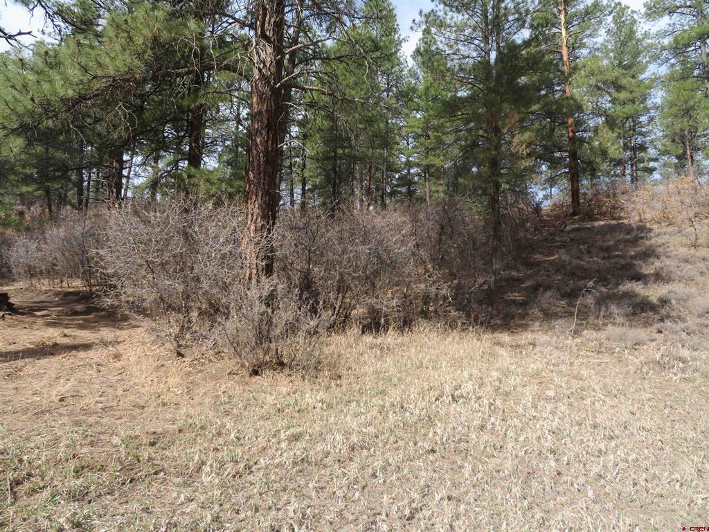 203 Evergreen Pagosa Springs CO 81147