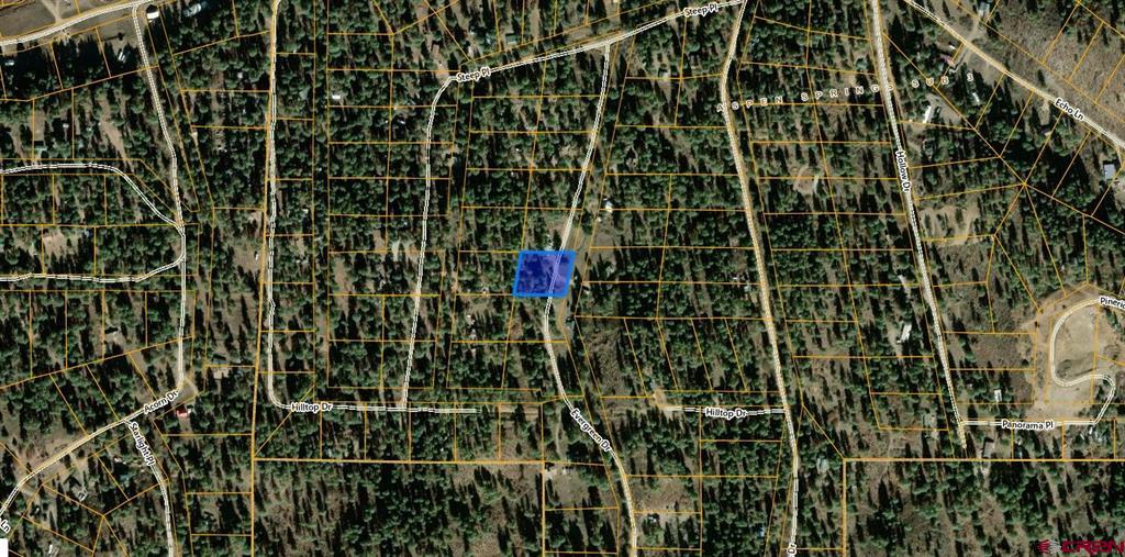 203 Evergreen Pagosa Springs CO 81147
