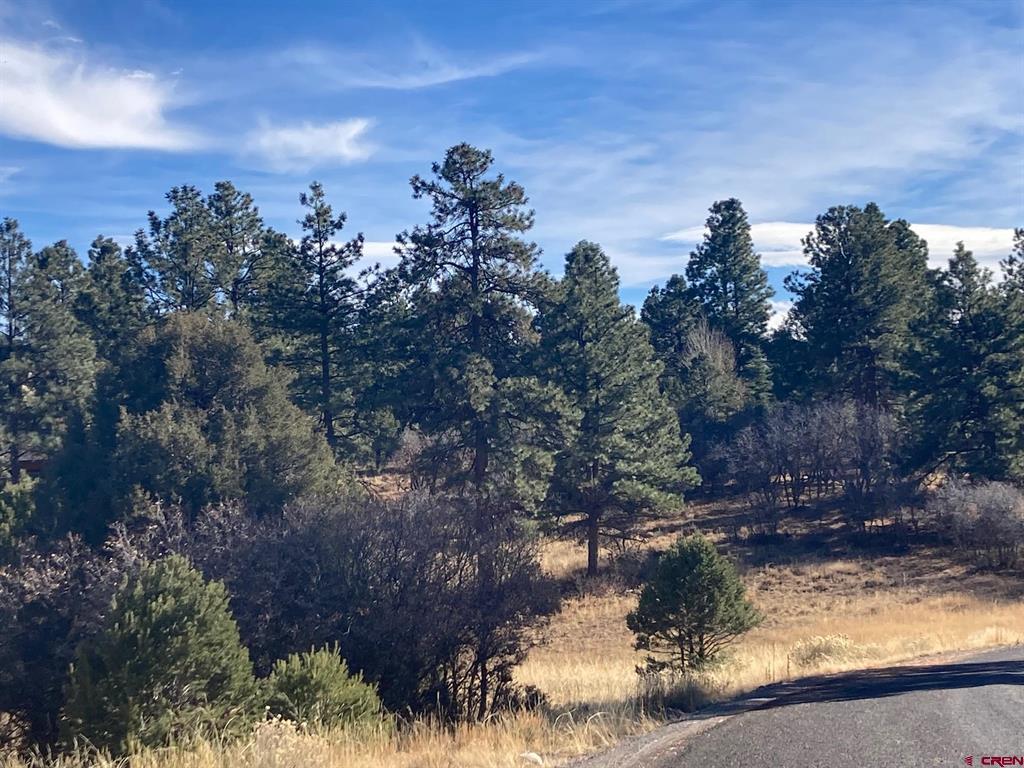 155 Pronghorn Lane Ridgway CO 81432
