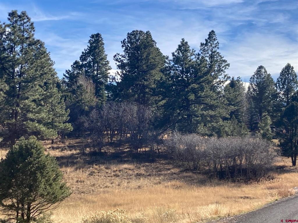155 Pronghorn Lane Ridgway CO 81432