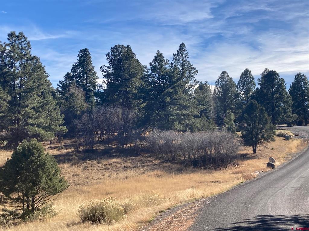 155 Pronghorn Lane Ridgway CO 81432
