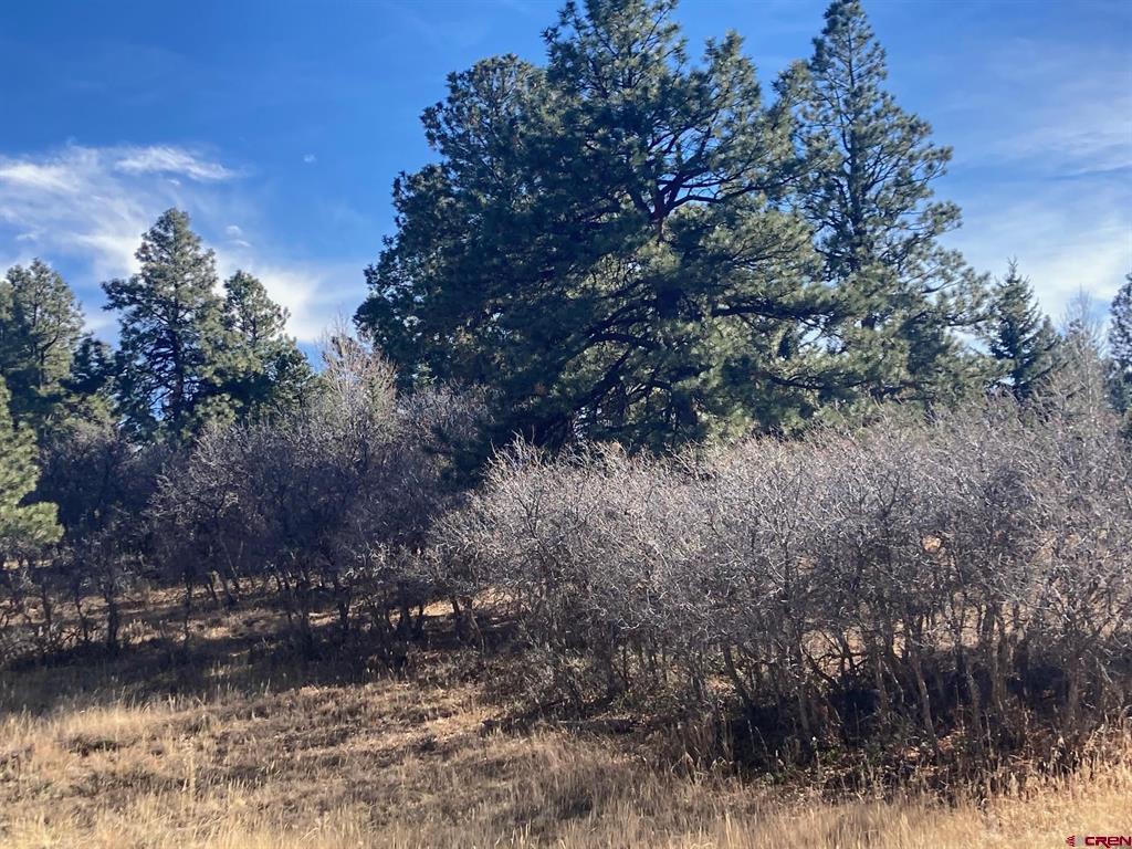 155 Pronghorn Lane Ridgway CO 81432