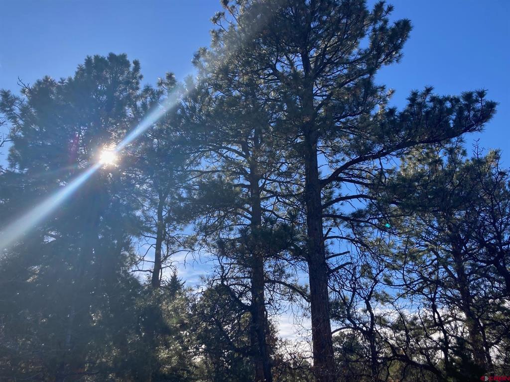 155 Pronghorn Lane Ridgway CO 81432