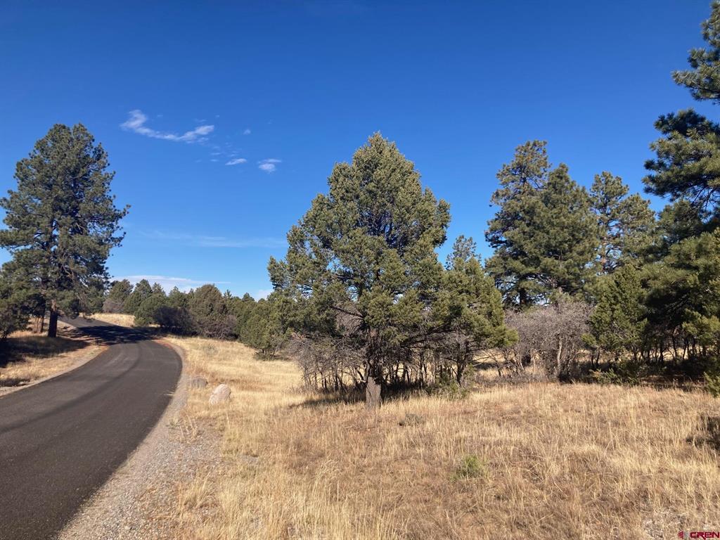 155 Pronghorn Lane Ridgway CO 81432