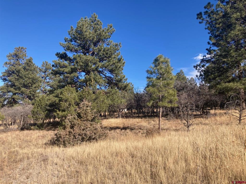 155 Pronghorn Lane Ridgway CO 81432