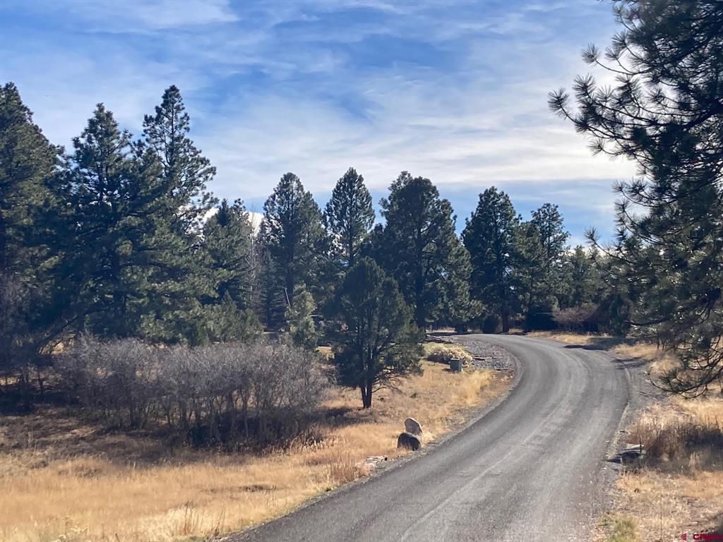 155 Pronghorn Lane Ridgway CO 81432
