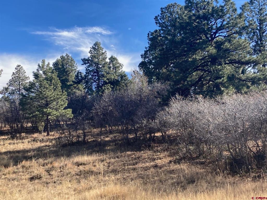 155 Pronghorn Lane Ridgway CO 81432