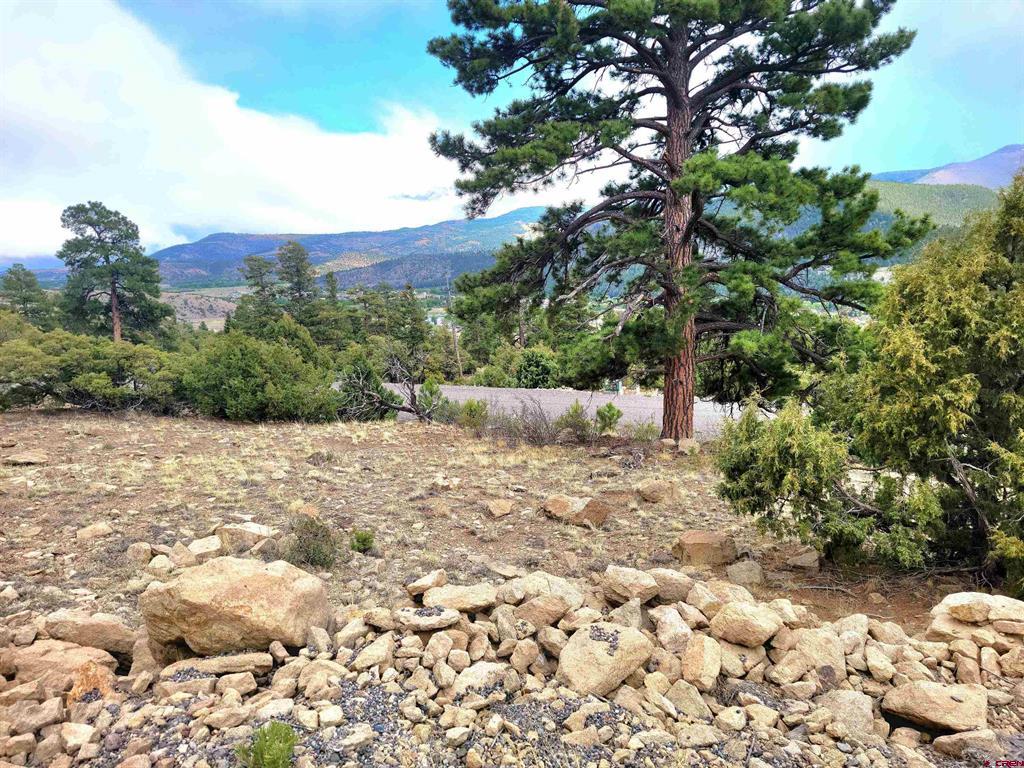 Tbd Little Bear Circle Lot 55 South Fork CO 81154